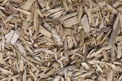 biomass boilers Tattenhoe